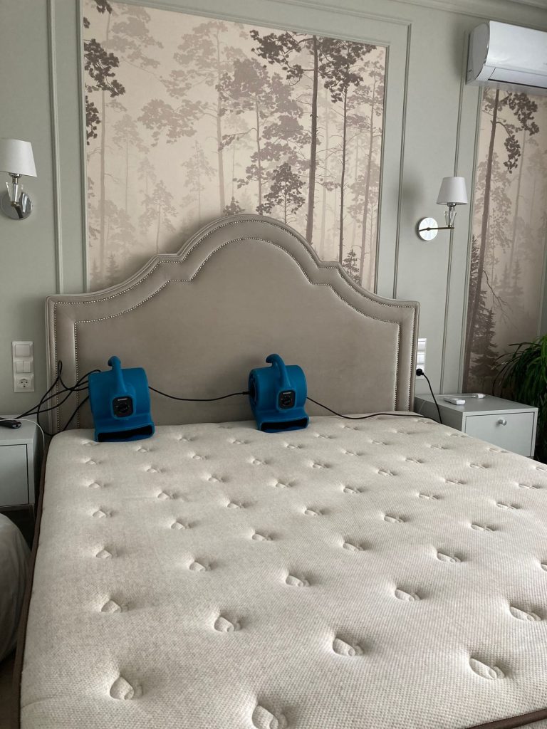 Как быстро высушить диван или матрас?  